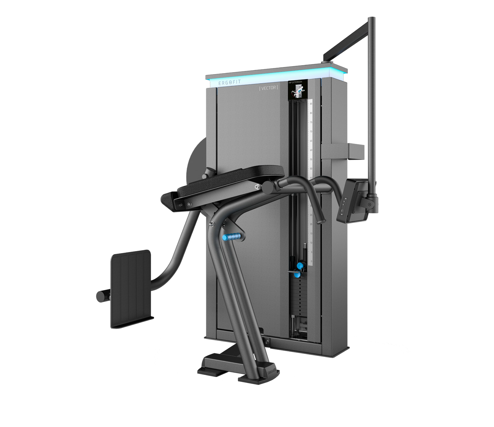 髋部伸展训练器